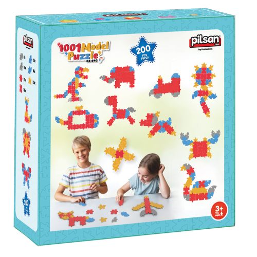 1001 Model Puzzle